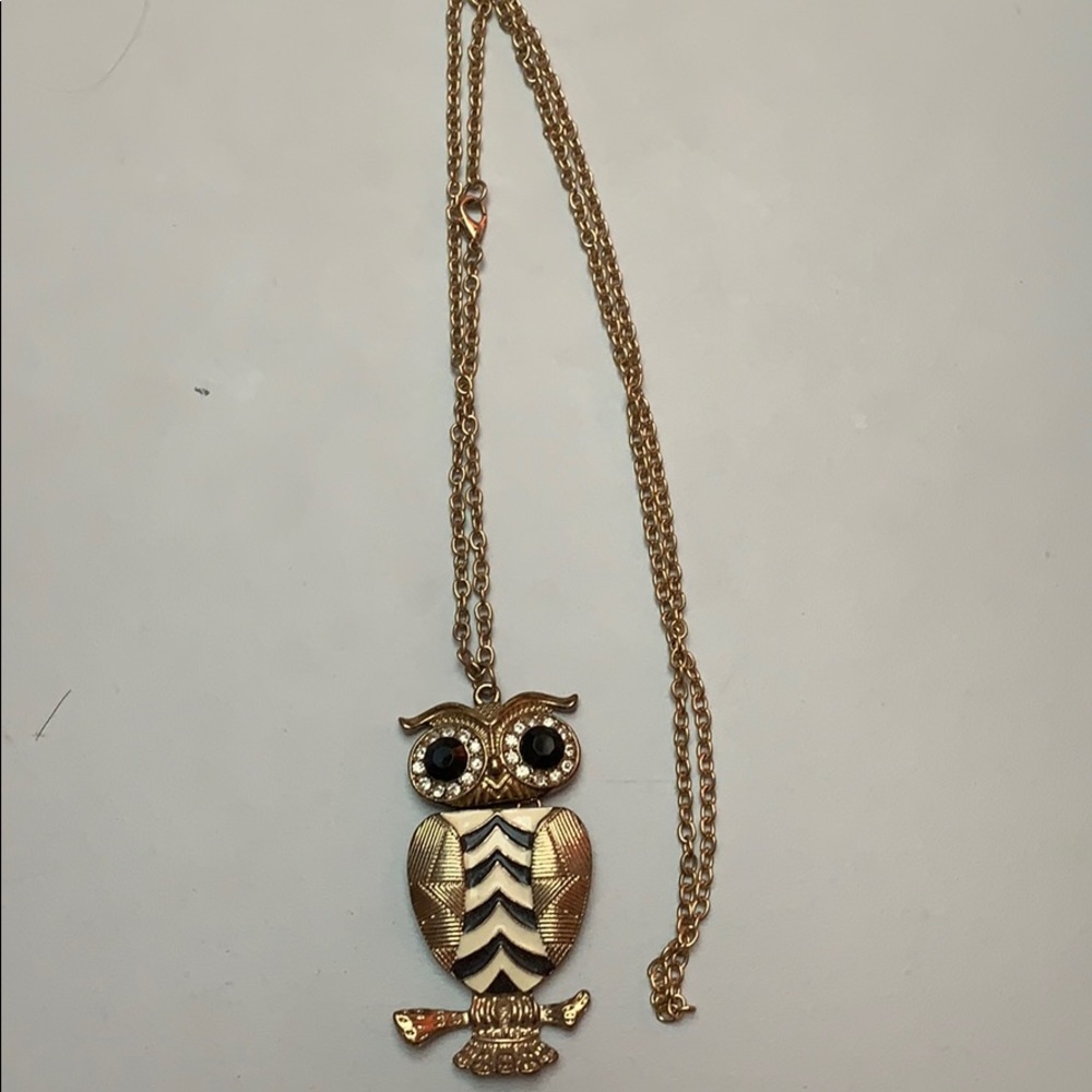 ⚡️ 3 for 30 ⚡️ Costume Owl Necklace